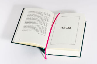 Ein Jahr des Staunens 