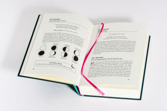 Ein Jahr des Staunens 