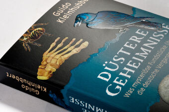 Düstere Geheimnisse 