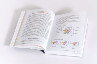 Die Beckenboden-Revolution 