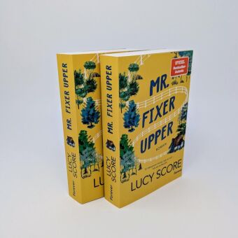 Mr. Fixer Upper