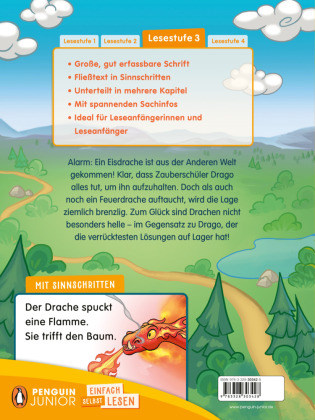 Drago Kadabra - Drachen-Kampf - total vermurkst!