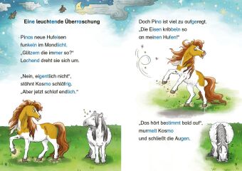 Hufeisen-Zauber - Pony Pina und das Elfen-Geheimnis