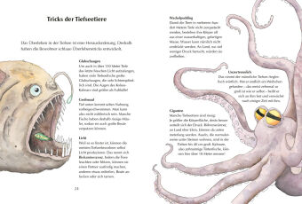 Alles klar! Der kleine Drache Kokosnuss erforscht die Ozeane