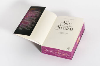 A Sky Beyond the Storm
