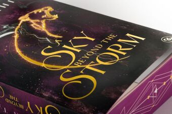 A Sky Beyond the Storm