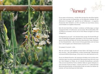 Herbal Healing - Medizin aus der Natur