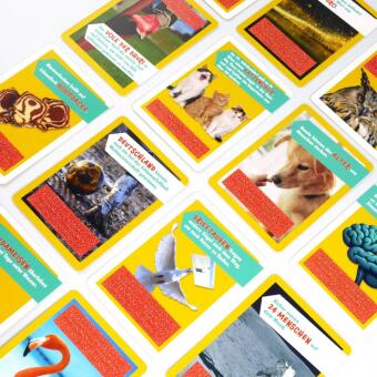 Stimmts oder stimmts nicht? - Das einzigartige Wissensquiz für Kinder ab 8 Jahren