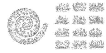 Wundervolle Wildblumen 