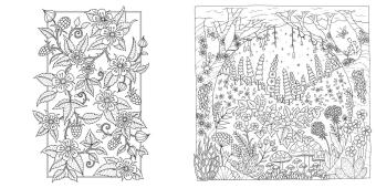 Wundervolle Wildblumen 