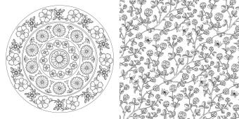 Wundervolle Wildblumen 