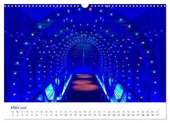 Kreuzfahrtpiraten (Wandkalender 2026 DIN A3 quer), CALVENDO Monatskalender
