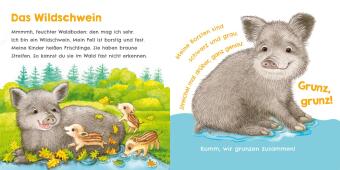 Hör mal, wie ich keckern kann (Mein erstes Streichel-Soundbuch 3)