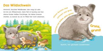 Hör mal, wie ich keckern kann (Mein erstes Streichel-Soundbuch 3)