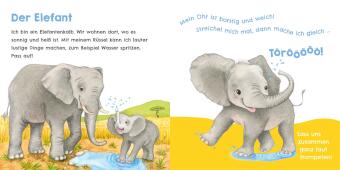 Hör mal, wie ich tröten kann (Mein erstes Streichel-Soundbuch 4)
