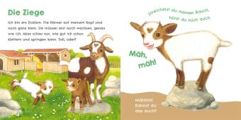 Hör mal, wie ich tröten kann (Mein erstes Streichel-Soundbuch 4)