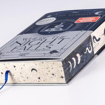 Where the Night Falls (School of Darkness 1) 