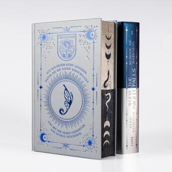 Where the Night Falls (School of Darkness 1) 