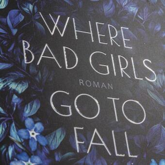 Where Bad Girls go to Fall (Good Girls 2) 