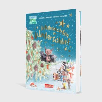 Weihnachten im Winterschlaf 