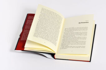 In the Name of Freedom 