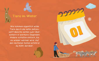 Checker Tobi: Das Adventskalender-Buch - Der X-mas-Check: Abenteuer Kälte, Schnee und Eis