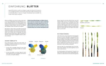 Die Kunst der Aquarellmalerei - das große Watercolor-Grundlagenwerk