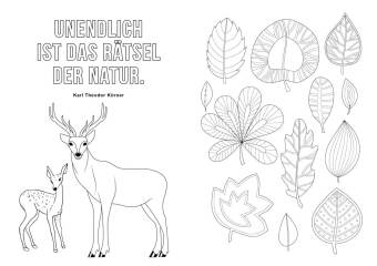 Ausmalbuch für Senioren: Das Leben ist bunt