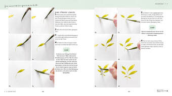 Watercolor - Malen mit Aquarell 