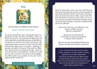 Orakel-Kartenset: Spirit Guides | 49 Energiekarten mit Begleitbuch