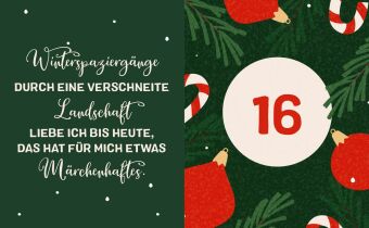 Merry Christmas - Dein Adventskalender mit Ross Antony