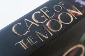 Cage of the Moon 