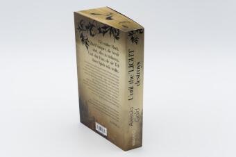 Until the Light destroys 