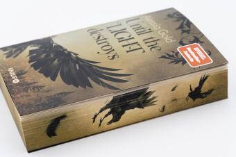 Until the Light destroys 