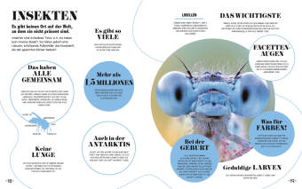 5-Minuten-Lernen Natur