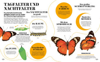 5-Minuten-Lernen Natur