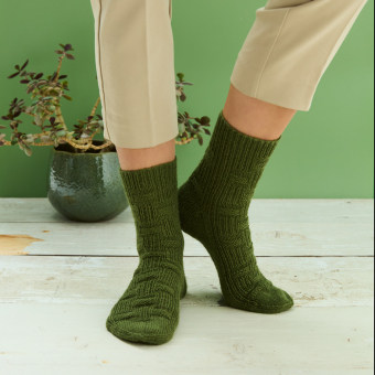Aktion: Grüne Socke! - Das Strickbuch
