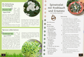 Durchs Jahr 2026 mit KAFFEE ODER TEE 