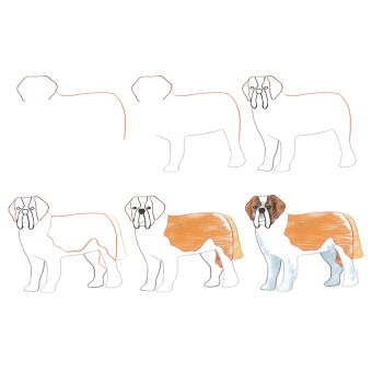 Die Kunst des Zeichnens für Kinder - Meine allererste Zeichenschule