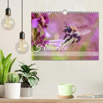 Hummeln - Flugaufnahmen eines faszinierenden Insekts (Wandkalender 2026 DIN A4 quer), CALVENDO Monatskalender
