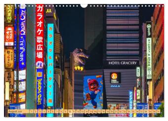 Impressionen aus Tokio, der Megastadt im Land der aufgehenden Sonne (Wandkalender 2026 DIN A3 quer), CALVENDO Monatskalender