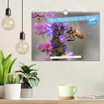 Die Wunderwelt der Biene (Wandkalender 2026 DIN A4 quer), CALVENDO Monatskalender