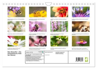 Bee Beautiful - Die phantastische Welt der Bienen (Wandkalender 2026 DIN A4 quer), CALVENDO Monatskalender