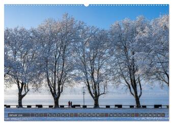 Die Halbinsel Mettnau - Erholungsort im Bodensee (hochwertiger Premium Wandkalender 2026 DIN A2 quer), Kunstdruck in Hochglanz