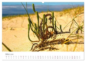 Alentejo Portugal - Küstenimpressionen (hochwertiger Premium Wandkalender 2026 DIN A2 quer), Kunstdruck in Hochglanz