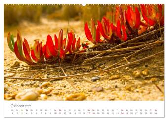 Alentejo Portugal - Küstenimpressionen (hochwertiger Premium Wandkalender 2026 DIN A2 quer), Kunstdruck in Hochglanz