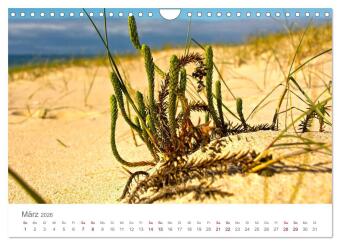 Alentejo Portugal - Küstenimpressionen (Wandkalender 2026 DIN A4 quer), CALVENDO Monatskalender