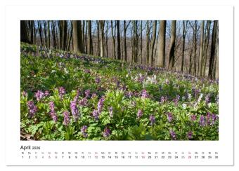 Impressionen aus Ostwestfalen-Lippe (Tischkalender 2026 DIN A5 quer), CALVENDO Monatskalender