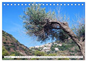 Ischia - Italiens Trauminsel (Tischkalender 2026 DIN A5 quer), CALVENDO Monatskalender