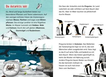 Pixi Wissen 120: Arktis und Antarktis 